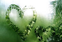 柏林赫塔客场小胜，积分榜逐渐攀升