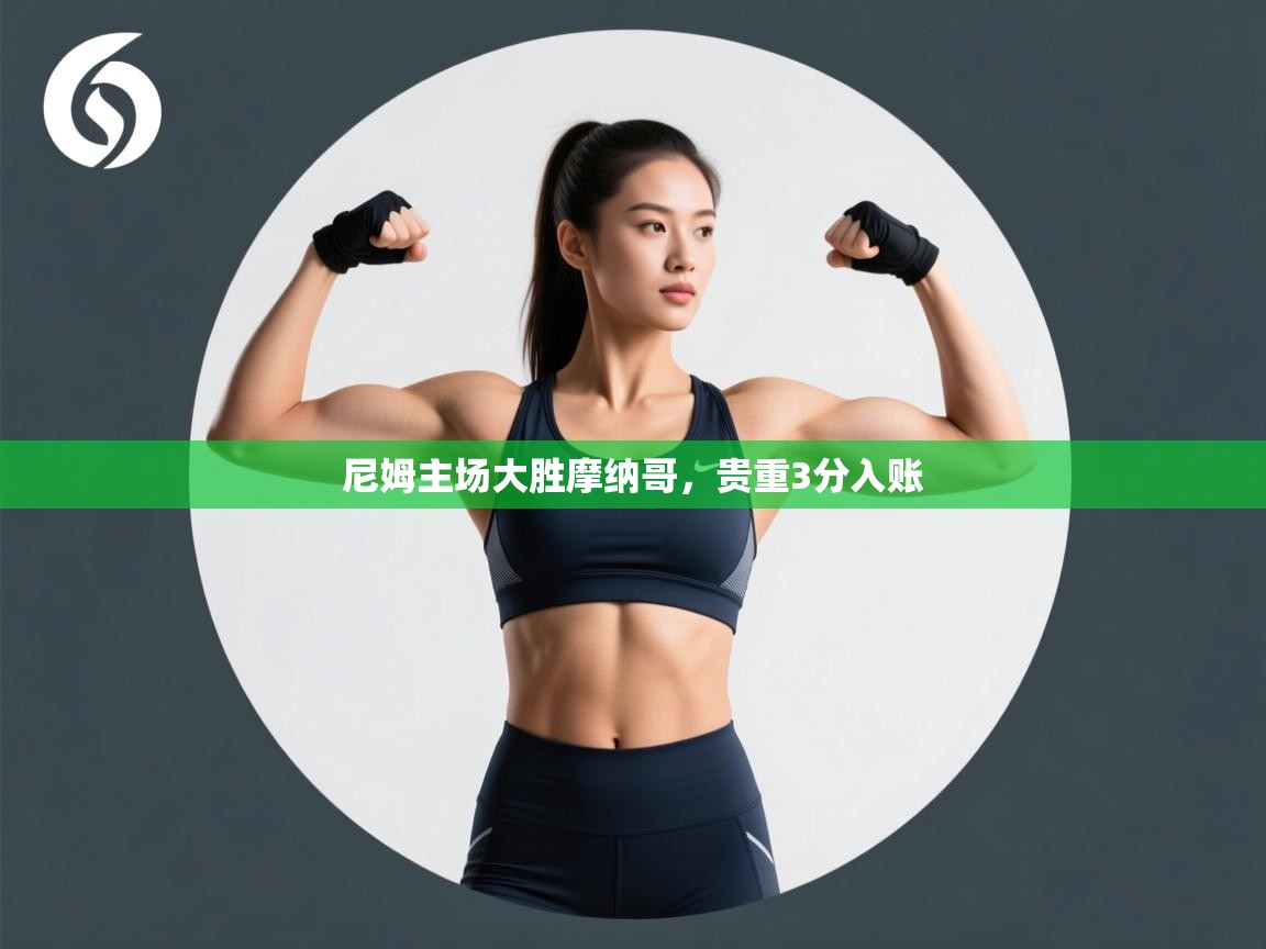 尼姆主场大胜摩纳哥，贵重3分入账