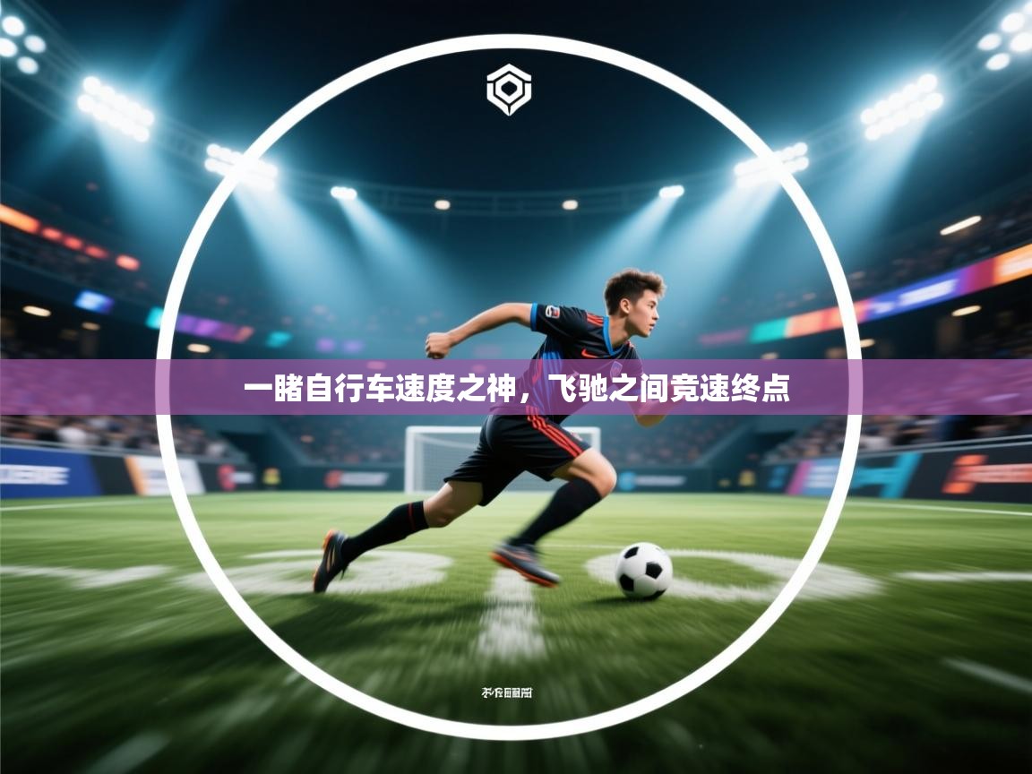 一睹自行车速度之神，飞驰之间竞速终点