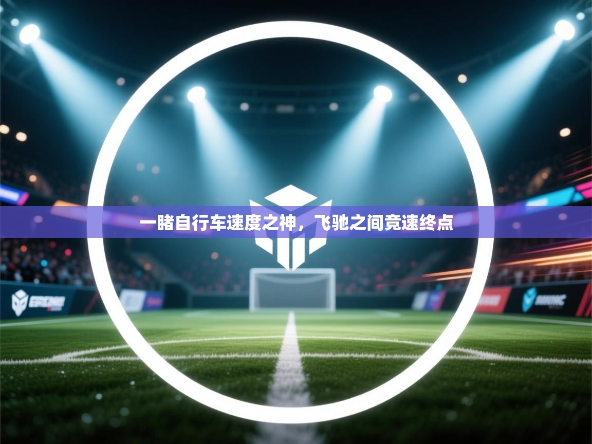 一睹自行车速度之神,飞驰之间竞速终点 第2张