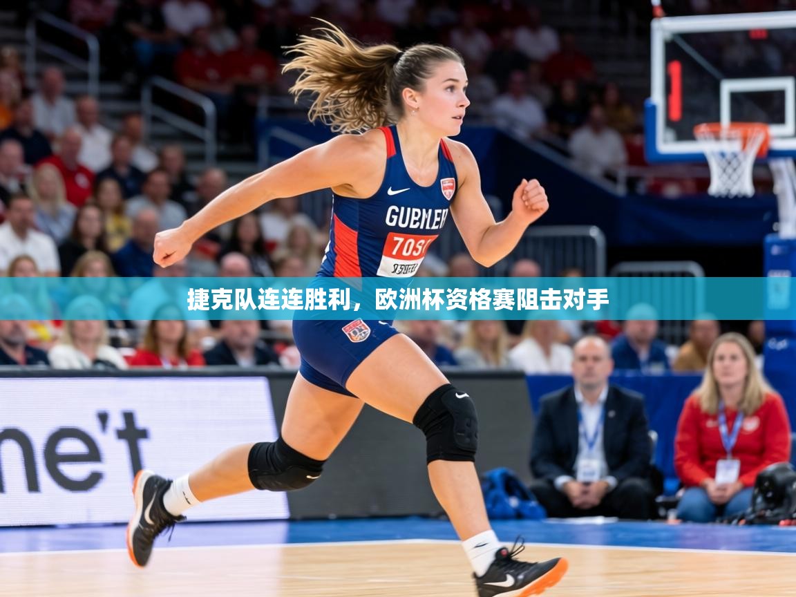 捷克队连连胜利，欧洲杯资格赛阻击对手  第2张